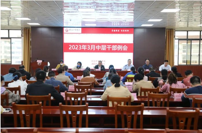 【医院动态】合乐hl8登录召开2023年3月中层干部例会